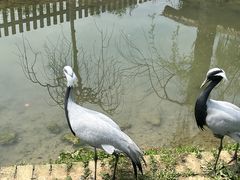 -上方山森林动物世界