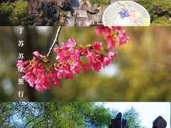 -金鸡山公园