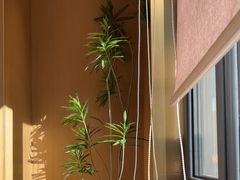 -大闫家烧烤·小海鲜家常菜(郑庄店)