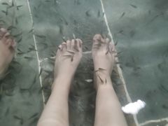 -兴芮温泉度假区