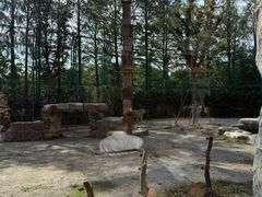 -上海野生动物园老虎餐厅