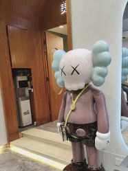 -卡尔诗·科技美肤连锁