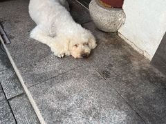 -召稼楼古镇