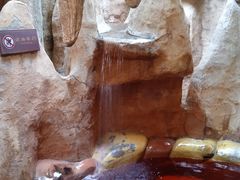 -通程温泉大酒店