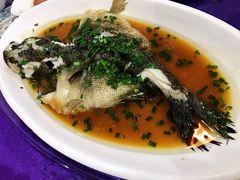 清蒸笋壳鱼-长兴菜馆(高桥店)