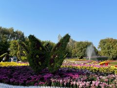 -沈阳植物园