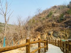 -白水寺森林公园