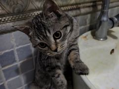 -Blueglass酸奶(财富购物中心店)