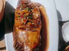 -黄山老妈·土菜(碧桂园店)