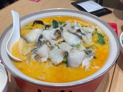 骨汤鱼片鲜蔬锅-喜家德虾仁水饺(东方宝泰店)