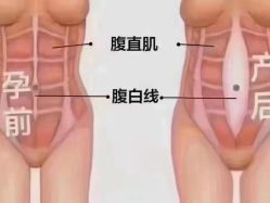 点击看大图 -昕孕瑜伽·孕妇瑜伽·产后修复