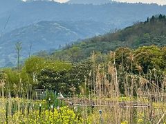 -缥缈峰景区