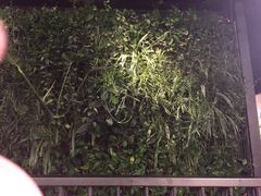 -青年公社烤鸭(蜀山万象汇店)
