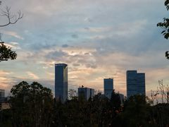 -艾溪湖湿地公园