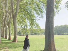 -河南省黄河迎宾馆