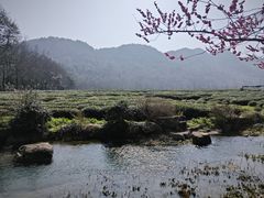-中国茶叶博物馆(双峰馆区)