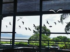 -深圳湾公园(南山区)