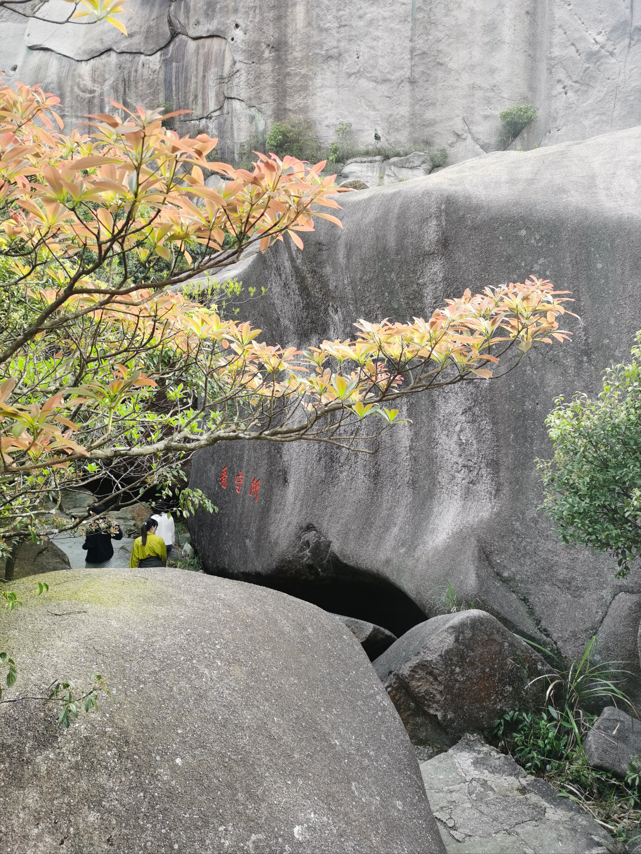 云霄乌山风景区门票图片