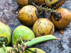 -兴隆槟榔园休闲农庄