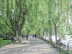-柳浪闻莺公园