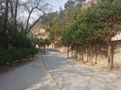 -延安杨家岭革命旧址