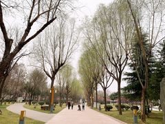 -唐城墙遗址公园