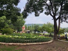-无锡梅园公园