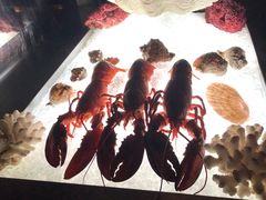 -上海柏悦酒店·世纪100牛排馆