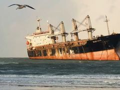 -巧克力渔家.小船海鲜胶东菜(万平口店)