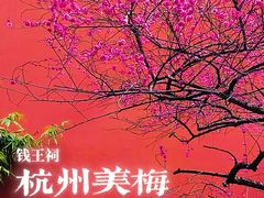 -钱王祠