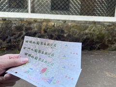 -四明山国家森林公园