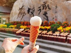 -成裕雪糕店(士多店)
