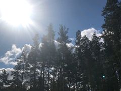 -滴血救世主教堂