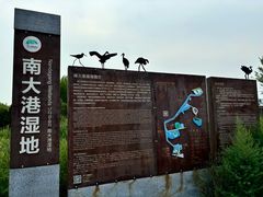 -南大港湿地风景区