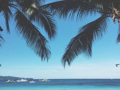 -白沙滩