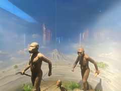 -国家自然博物馆