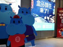 -盒马鲜生(大成店)