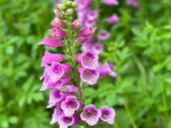 -北京植物园-展览温室
