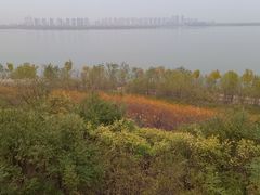 -天津东丽湖风景区