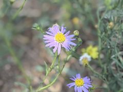 -南大港湿地风景区