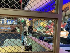 -纽斯特牛排自助餐厅(浦东文峰广场店)