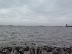-上海滨江森林公园