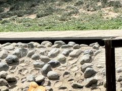 -新疆天山野生动物园