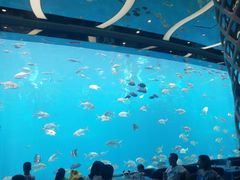 -瑞德姆美人鱼海底演艺主题餐厅(亚龙湾店)
