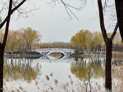 -大兴滨河森林公园
