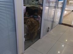 -全心全意连锁动物医院·微创中心·内科急重症·心脏专科(丰管路店)