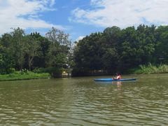 -海珠湖公园