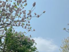 -南湖湿地公园