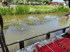 -同銮特种养殖场·龙虾垂钓