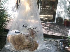 -风车面包